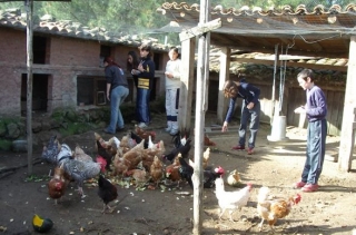 Granja escuela